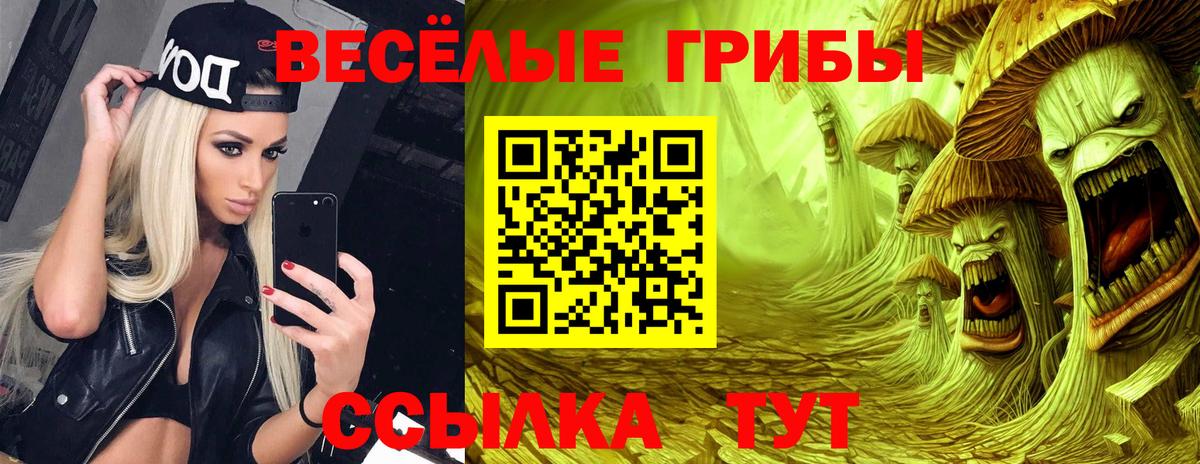 Псилоцибиновые грибы Cubensis  Вход с VPN  Галлюциногенные грибы мицелий  Великий Устюг 