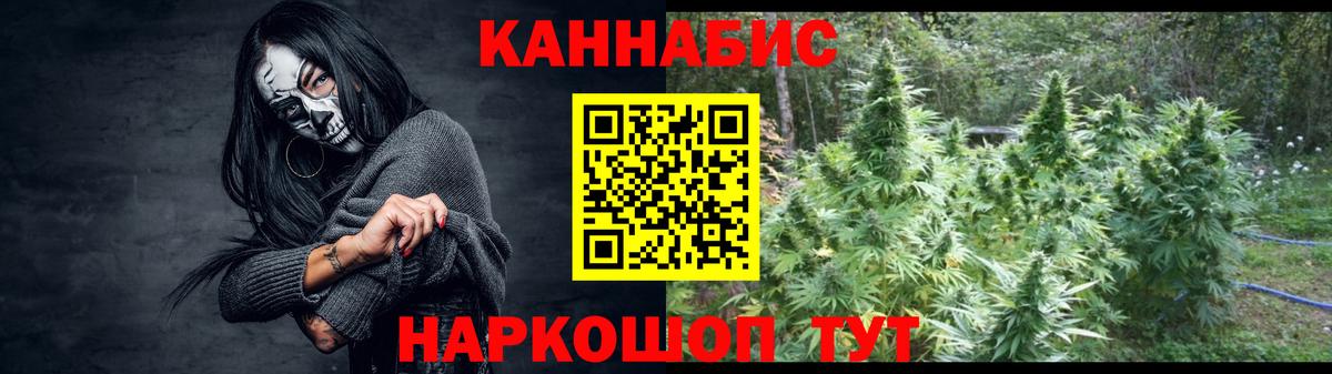 Конопля гибрид Великий Устюг